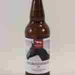 Hambletons Thoroughbred (1)