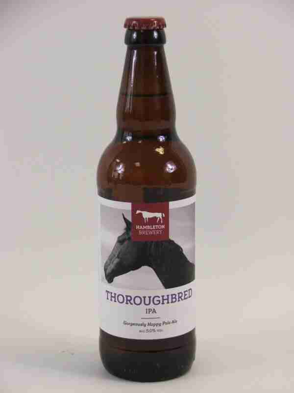 Hambletons Thoroughbred (1)