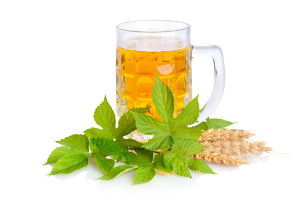 beer-in-glass-mug-PQDJYHG