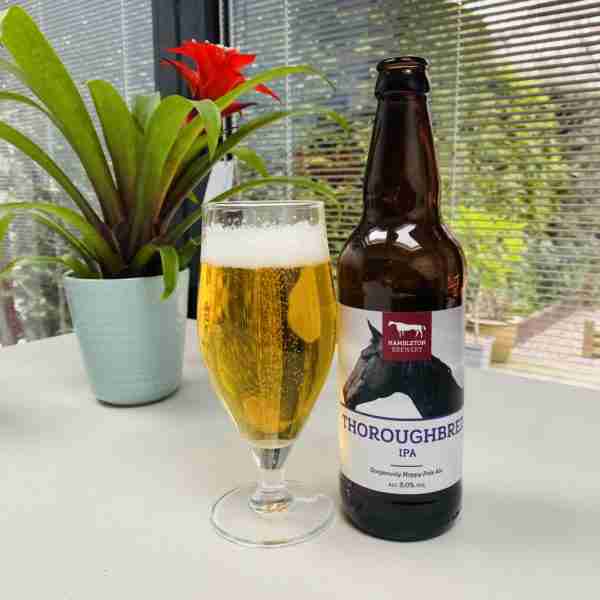 Great British Booze Company - British Beer, Cider, Wine and Spirits – Delivered 21