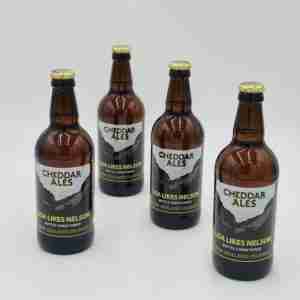 12 x 500ml bottles of Cheddar Ales Lisa Likes Nelson