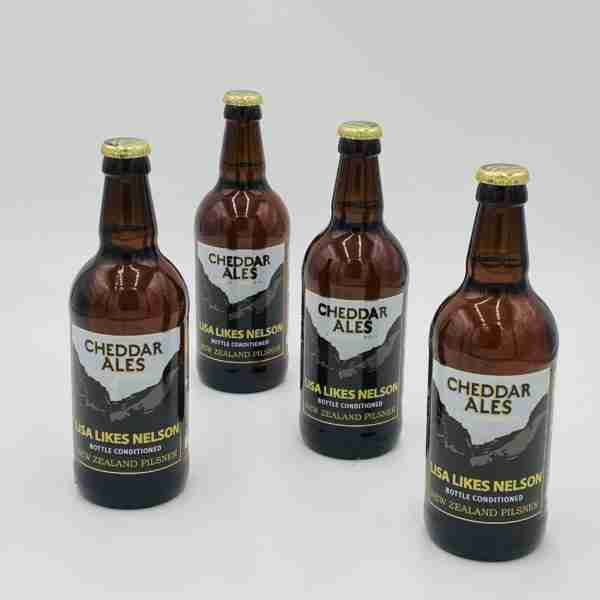 Great British Booze Company - 12 x 500ml bottles of Cheddar Ales Lisa Likes Nelson 1