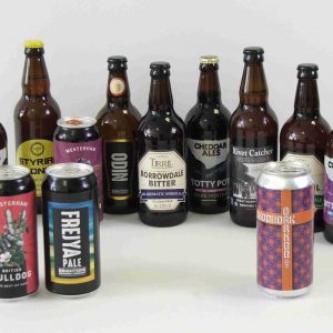 12 Mixed Gluten Free Beers - IPA, Pale Ale, Bitter & Stout - Case 1