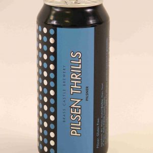 Great British Booze Company - Gluten Free Beer Gift - 6 Gluten Free Lagers 14