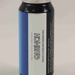 Great British Booze Company - Gluten Free Beer Gift - 6 Gluten Free Pale Ales 12