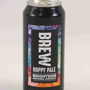 Great British Booze Company - Gluten Free Beer Gift - 6 Gluten Free Pale Ales 16