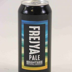 Great British Booze Company - 12 Mixed Gluten Free Beers - IPA, Pale Ale, Bitter & Stout - Case 1 18