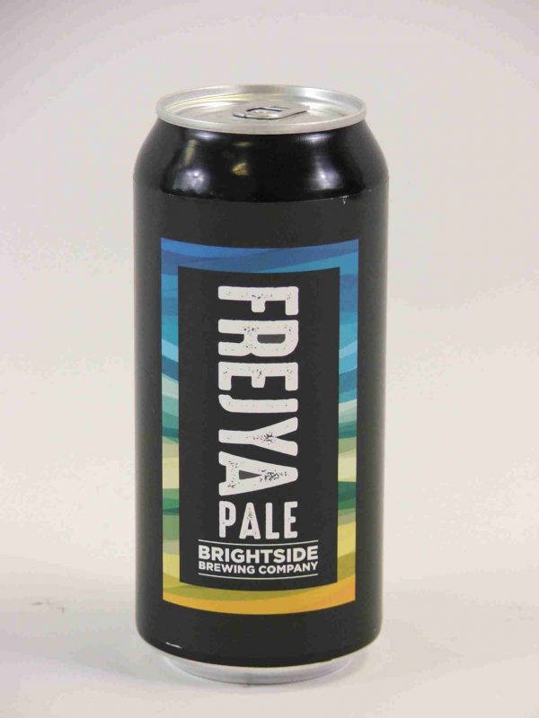 Great British Booze Company - 12 Mixed Gluten Free Beers - IPA, Pale Ale, Bitter & Stout - Case 1 3