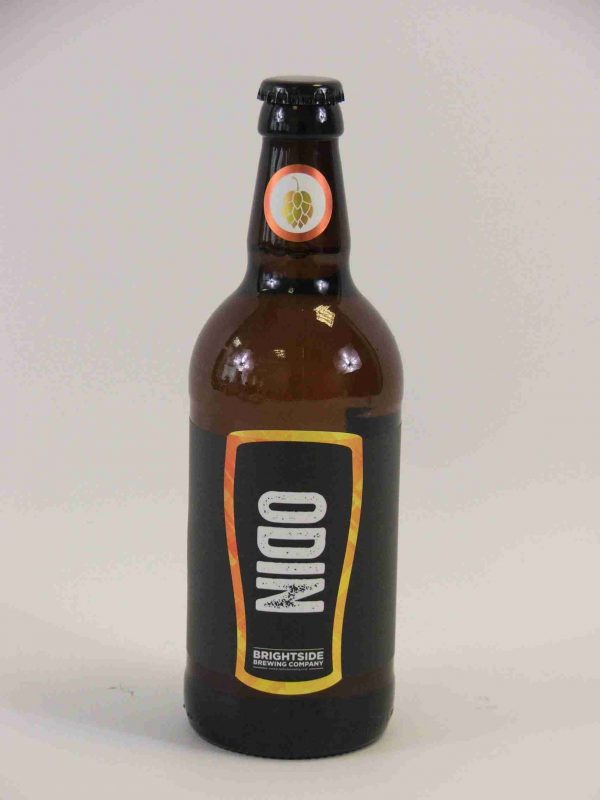 Great British Booze Company - 12 Mixed Gluten Free Beers - IPA, Pale Ale, Bitter & Stout - Case 1 8