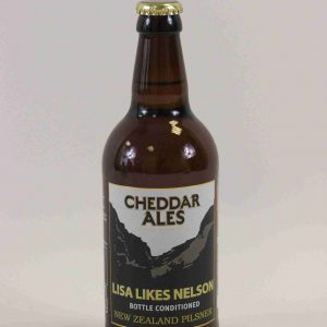 Great British Booze Company - Gluten Free Beer Gift - 6 Gluten Free Lagers 18