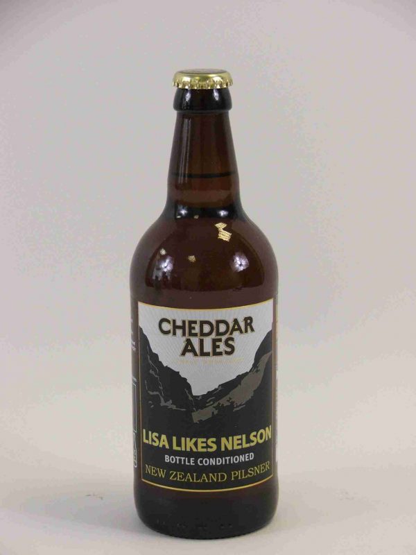 Great British Booze Company - Gluten Free Beer Gift - 6 Gluten Free Lagers 6