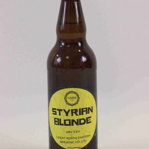 Great British Booze Company - 12 Mixed Gluten Free Beers - IPA, Pale Ale, Bitter & Stout - Case 1 24