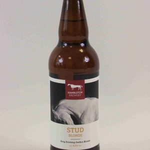 Great British Booze Company - 12 Mixed Gluten Free Beers - IPA, Pale Ale, Bitter & Stout - Case 2 24