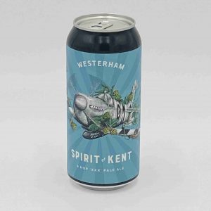 Great British Booze Company - 12 Light Vegan Beers - IPA. Pale Ale & Blonde 28