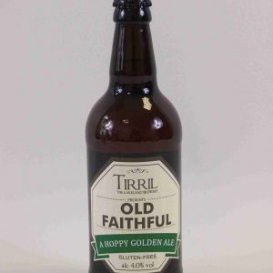 Great British Booze Company - 12 Mixed Gluten Free Beers - IPA, Pale Ale, Bitter & Stout - Case 1 36