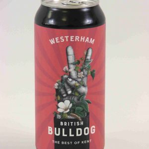 Great British Booze Company - 12 Dark Gluten Free Beers - Bitter, Porter & Stout 20