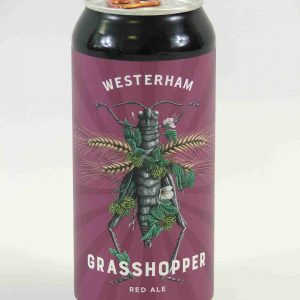 Great British Booze Company - 12 Mixed Gluten Free Beers - IPA, Pale Ale, Bitter & Stout - Case 1 26