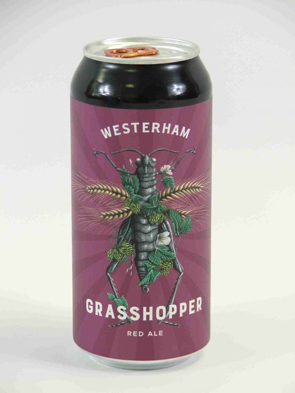Great British Booze Company - 12 Mixed Gluten Free Beers - IPA, Pale Ale, Bitter & Stout - Case 1 7