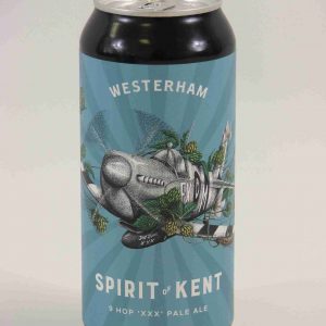 Great British Booze Company - Gluten Free Beer Gift - 6 Gluten Free Pale Ales 20